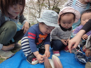 20180404 お花見 (13).JPGのサムネール画像